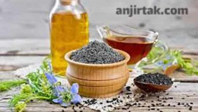 خواص ترکیب سیاه دانه و روغن زیتون