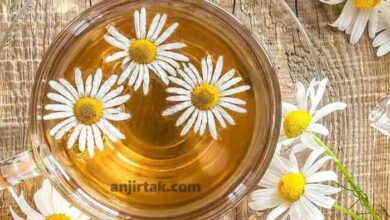 طرز تهیه دمنوش بابونه برای لاغری